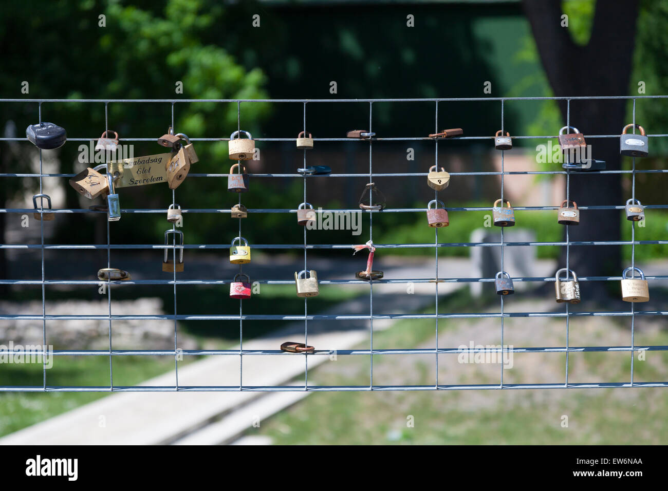 Love padlocks on a fence on Margaret Island in Budapest. Love padlocks