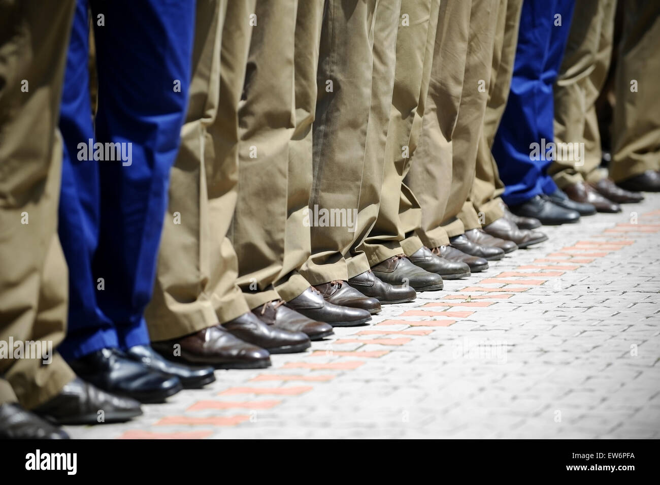 Blue and khaki military uniform stands out from a row of soldiers during military parade Stock Photo