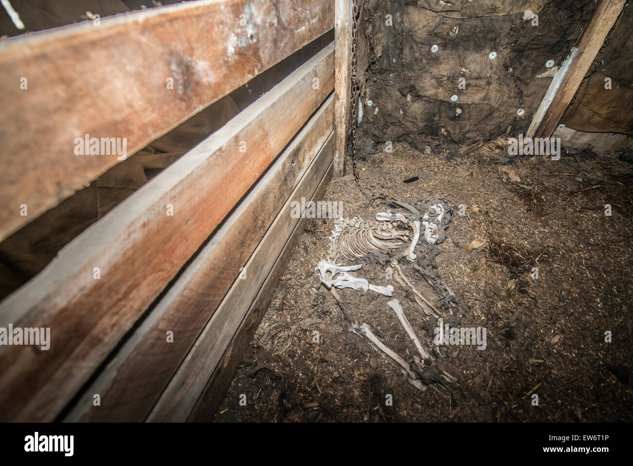 Inside Hut High Resolution Stock Photography and Images - Alamy