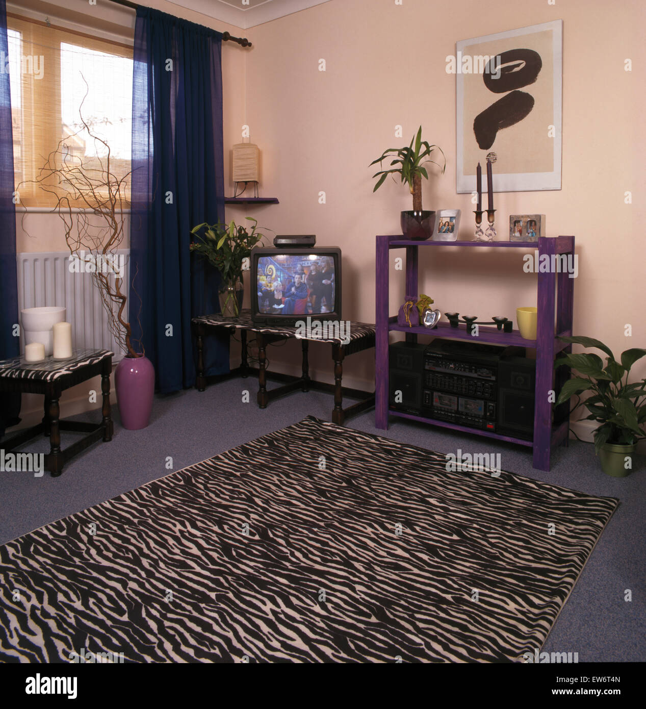 Zebra print rug in economy living room Stock Photo Alamy