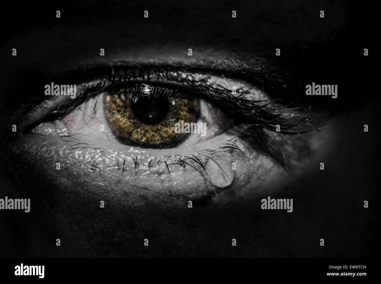 Weeping Eye High Resolution Stock Photography and Images Alamy