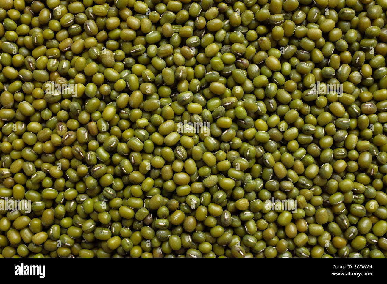 Dried green mung beans as an abstract background texture Stock Photo