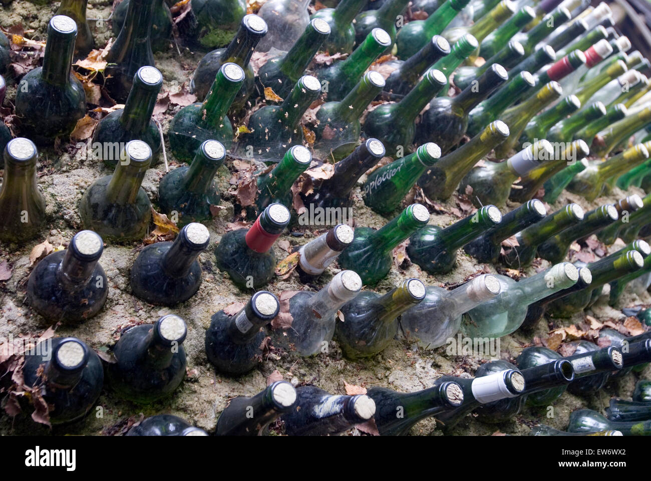 Wine Bottles as wall building material Stock Photo
