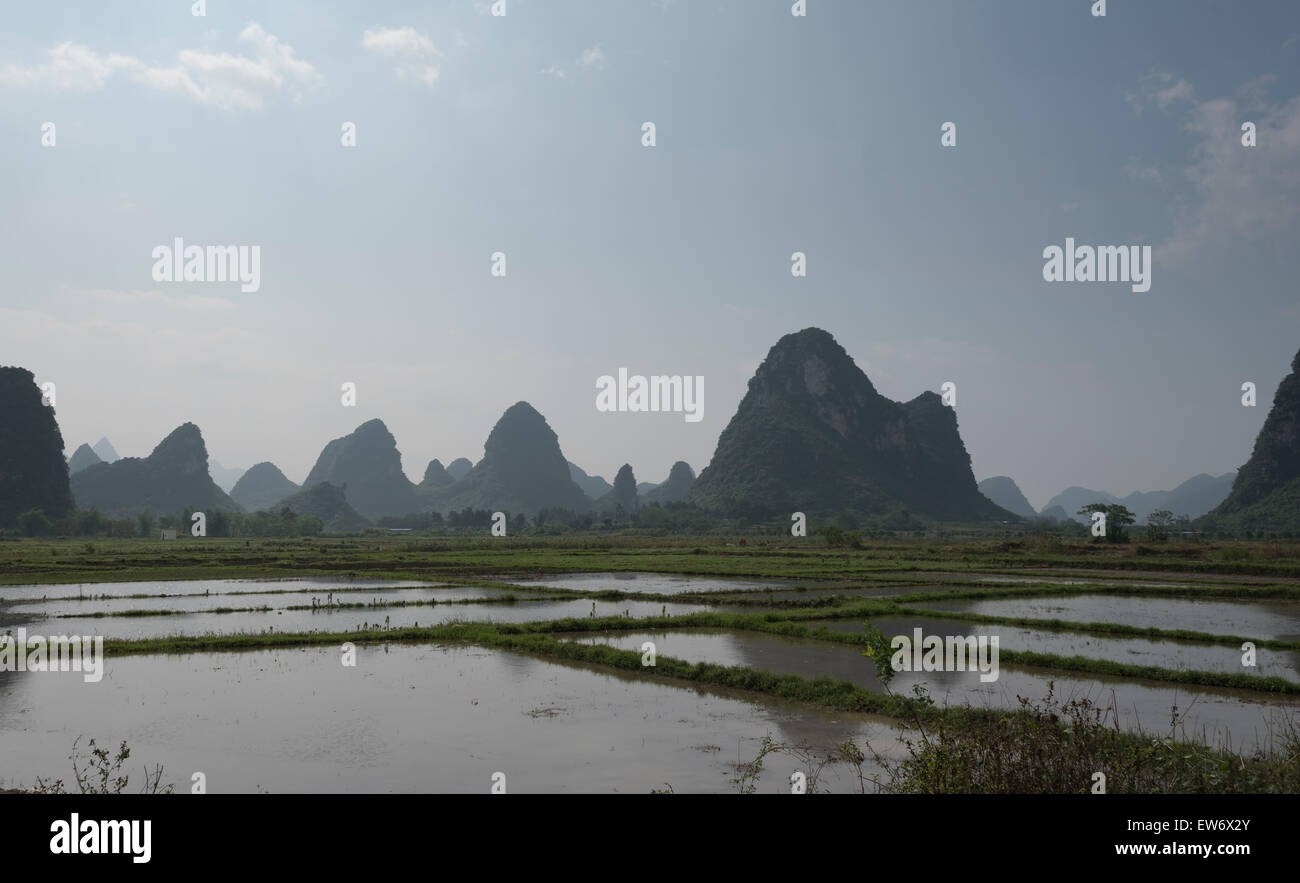 Rice field and water, China Stock Photo - Alamy
