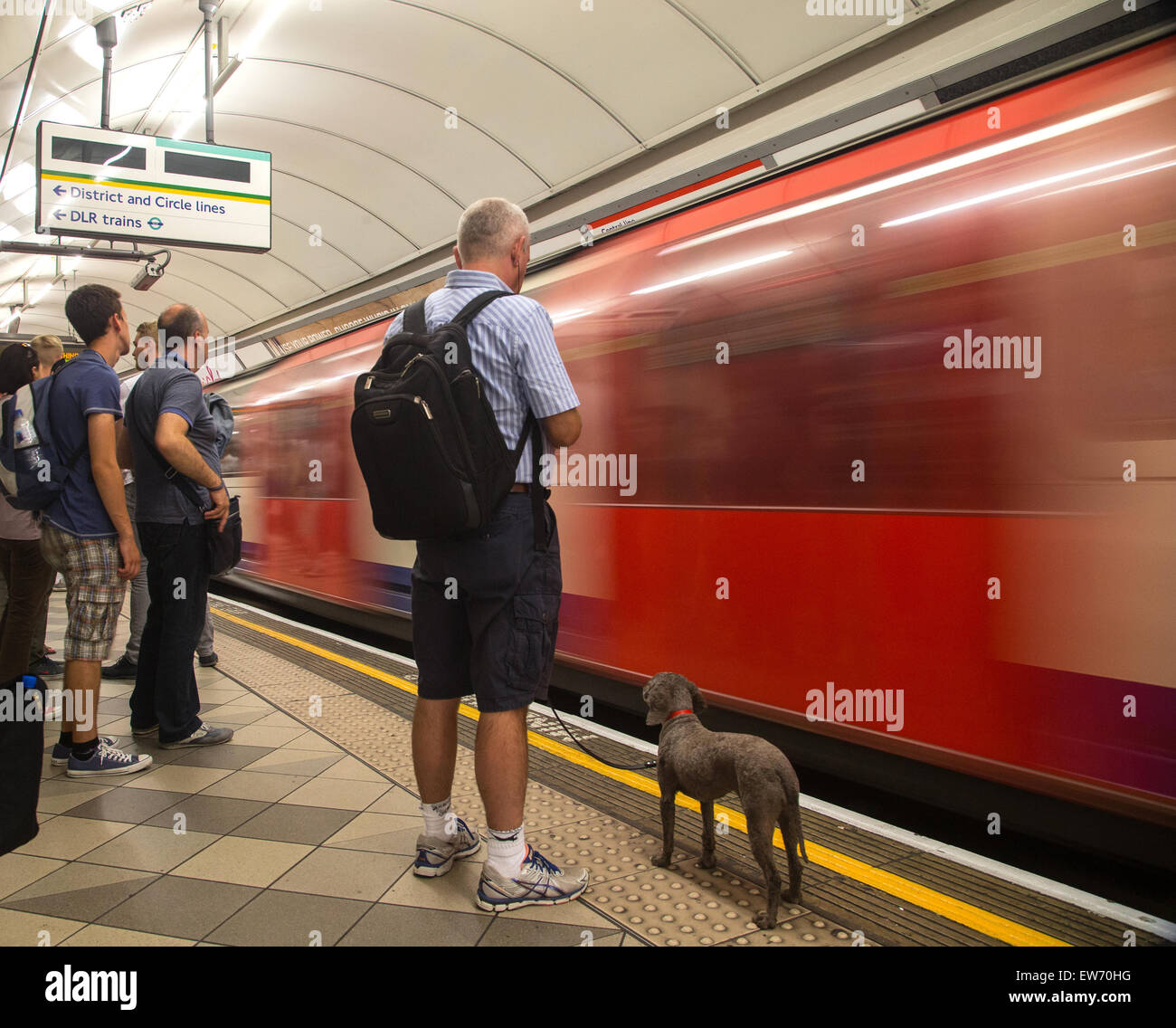 Are Dogs Allowed On London Underground Tube Trains
