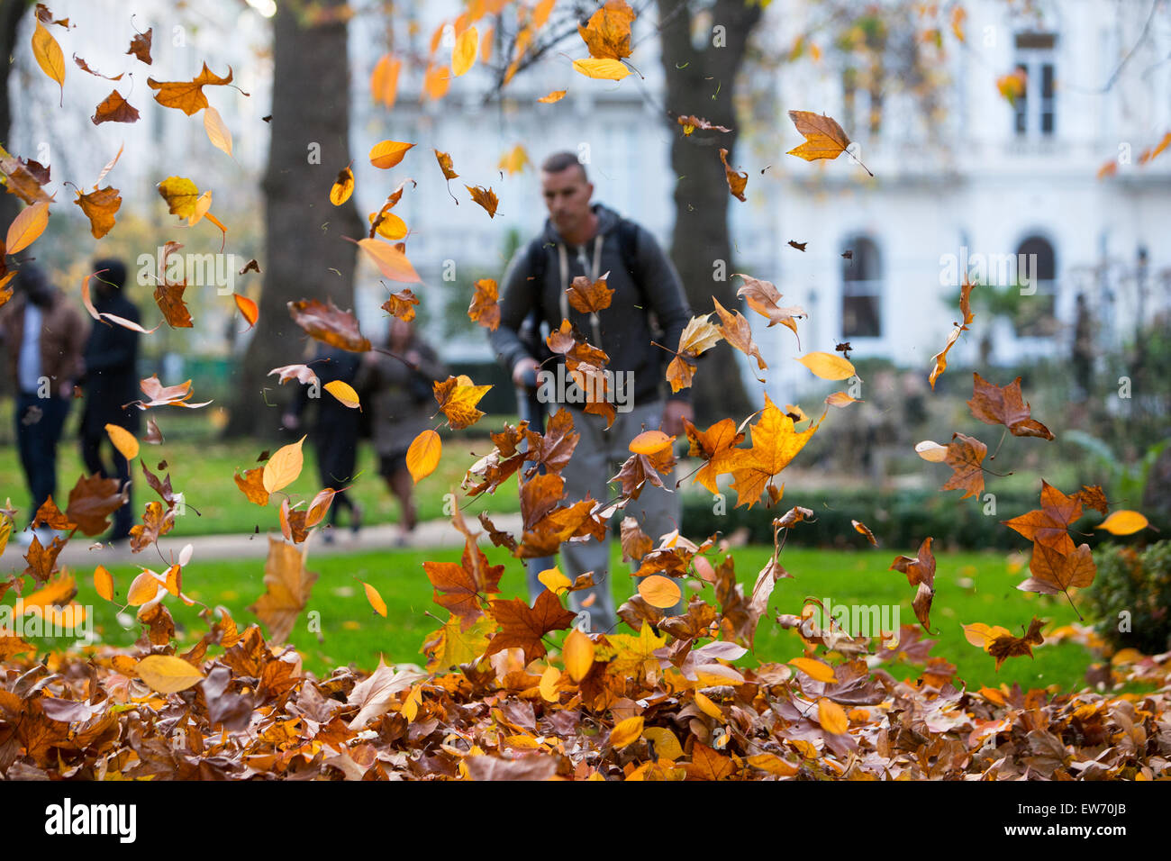 People walking in a London square, viewed through falling autumn leaves Stock Photo