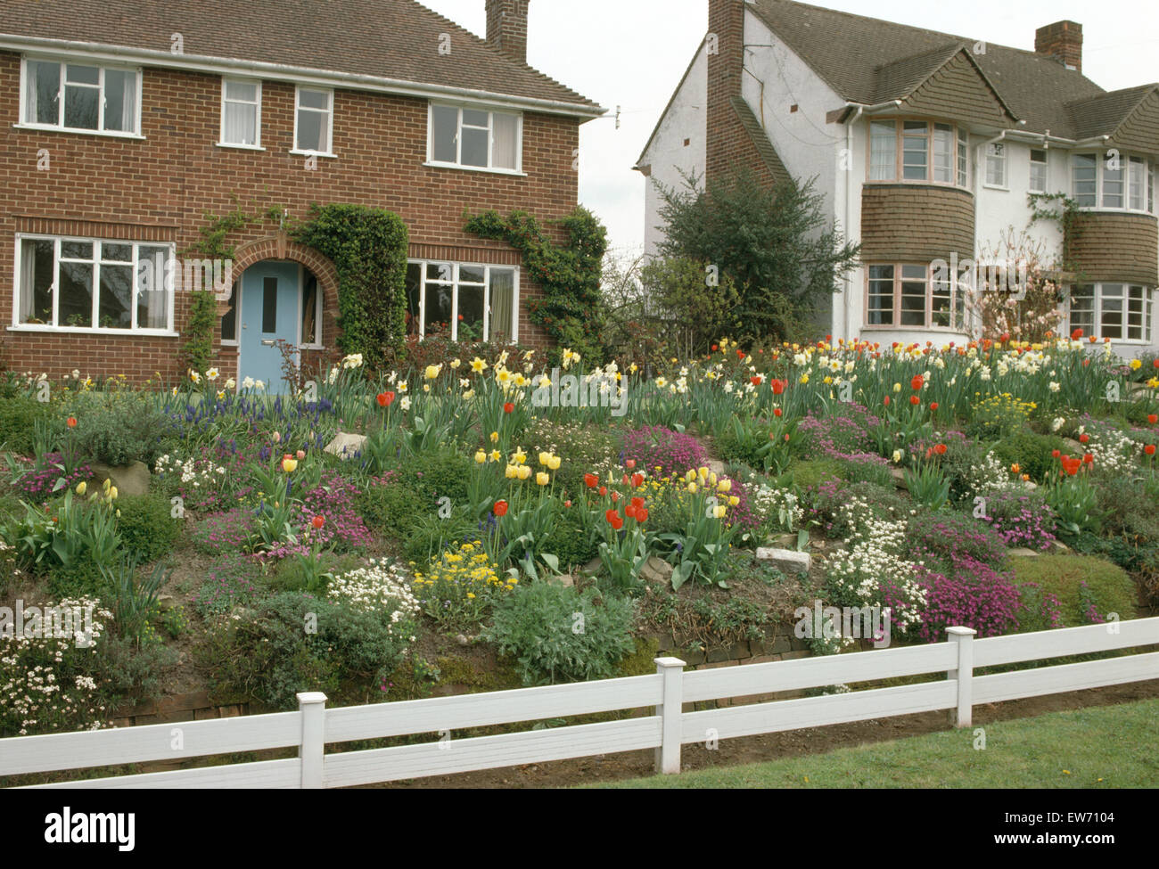 Colorful bulbs and rockery plants growing in front garden of a suburban detached house Stock Photo