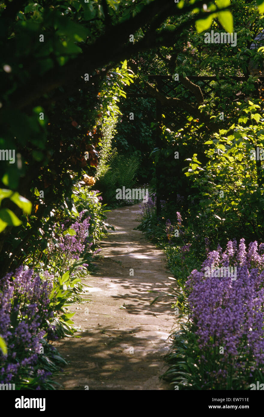 Stone path through borders with bluebells in country garden in spring Stock Photo