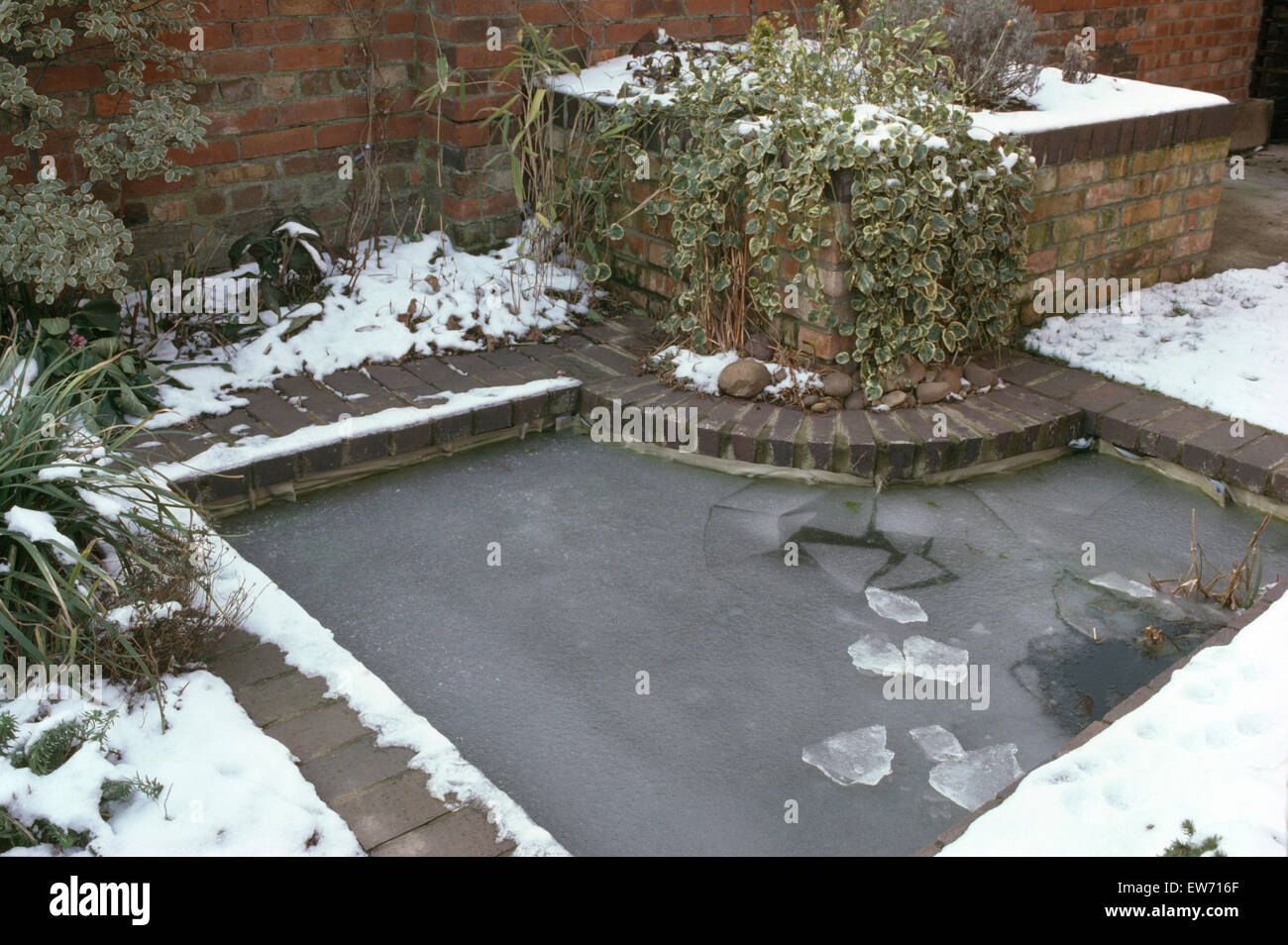 Garden pond winter hires stock photography and images Alamy