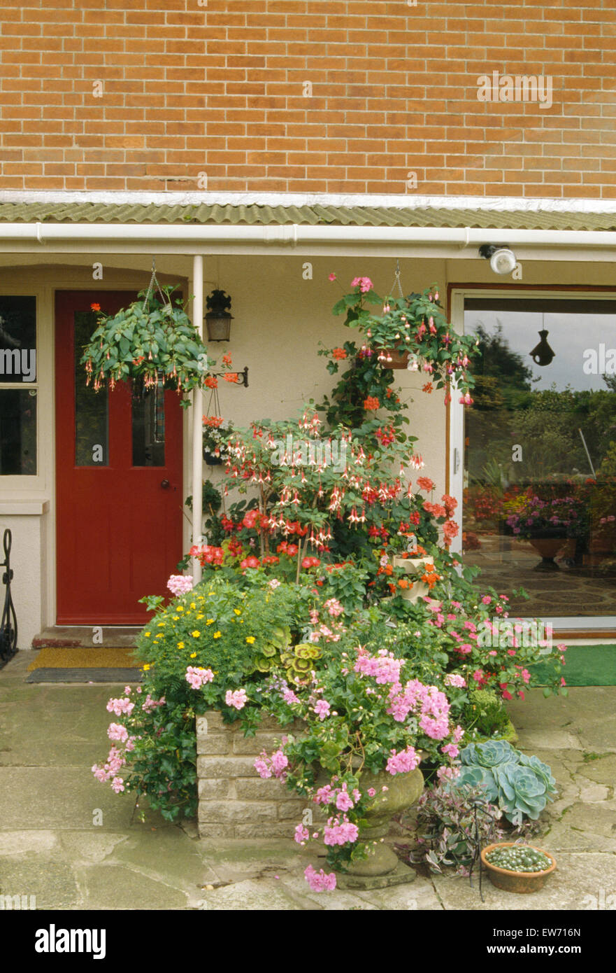 Geranium Front Pink geraniums and colorful annuals growing on low wall in front garden ...