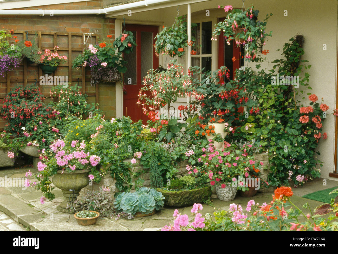 Colorful summer annuals in pots and hanging baskets beside seventies suburban house Stock Photo
