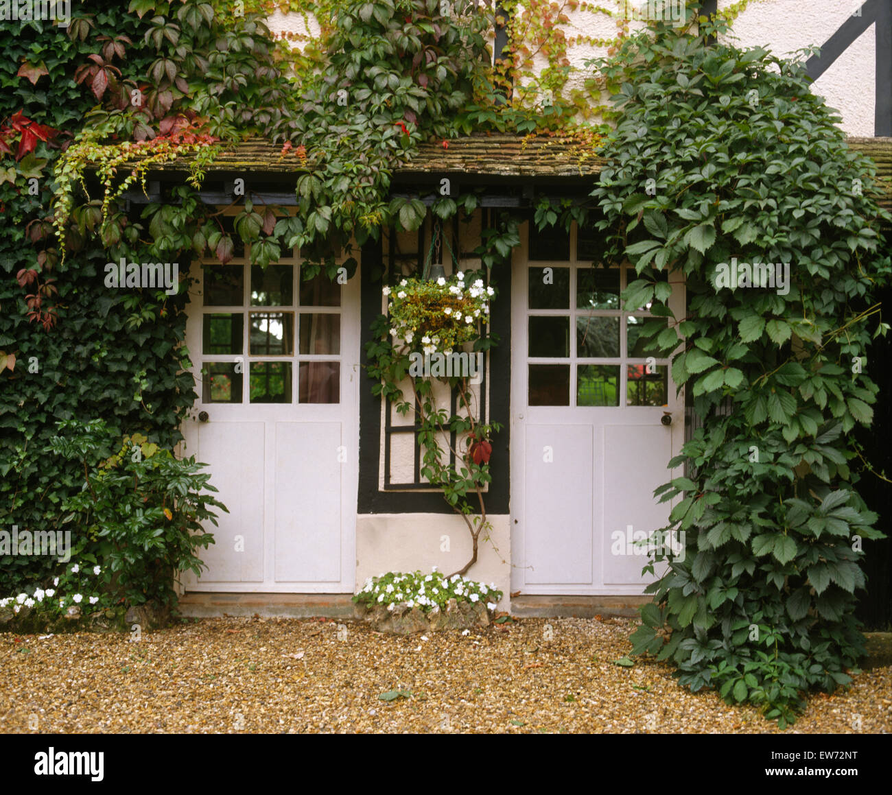 Exterior Of White French Cottage With Green Virginia Creeper And