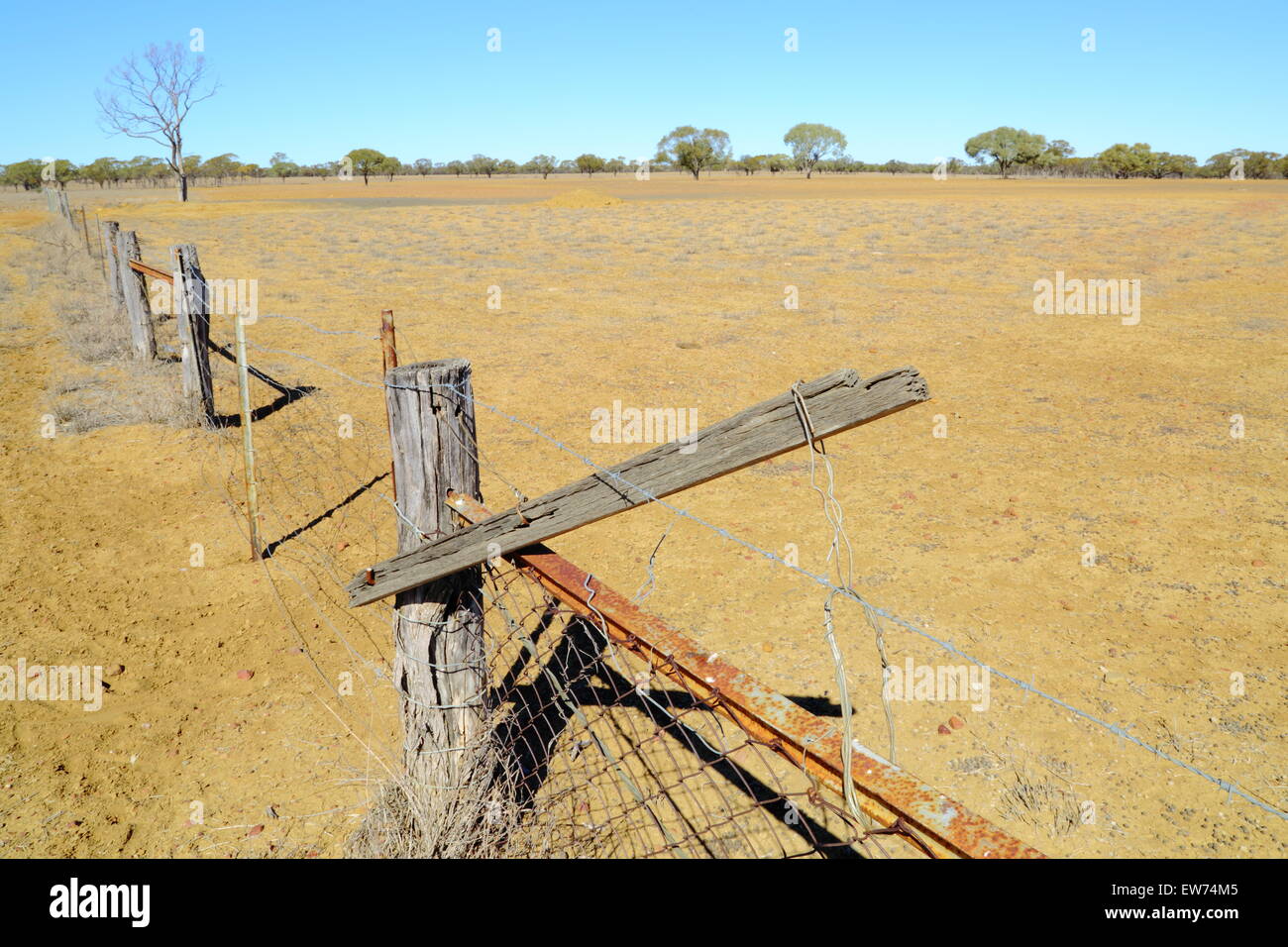 A fence divides two barren dusty paddocks, a result of the ongoing ...