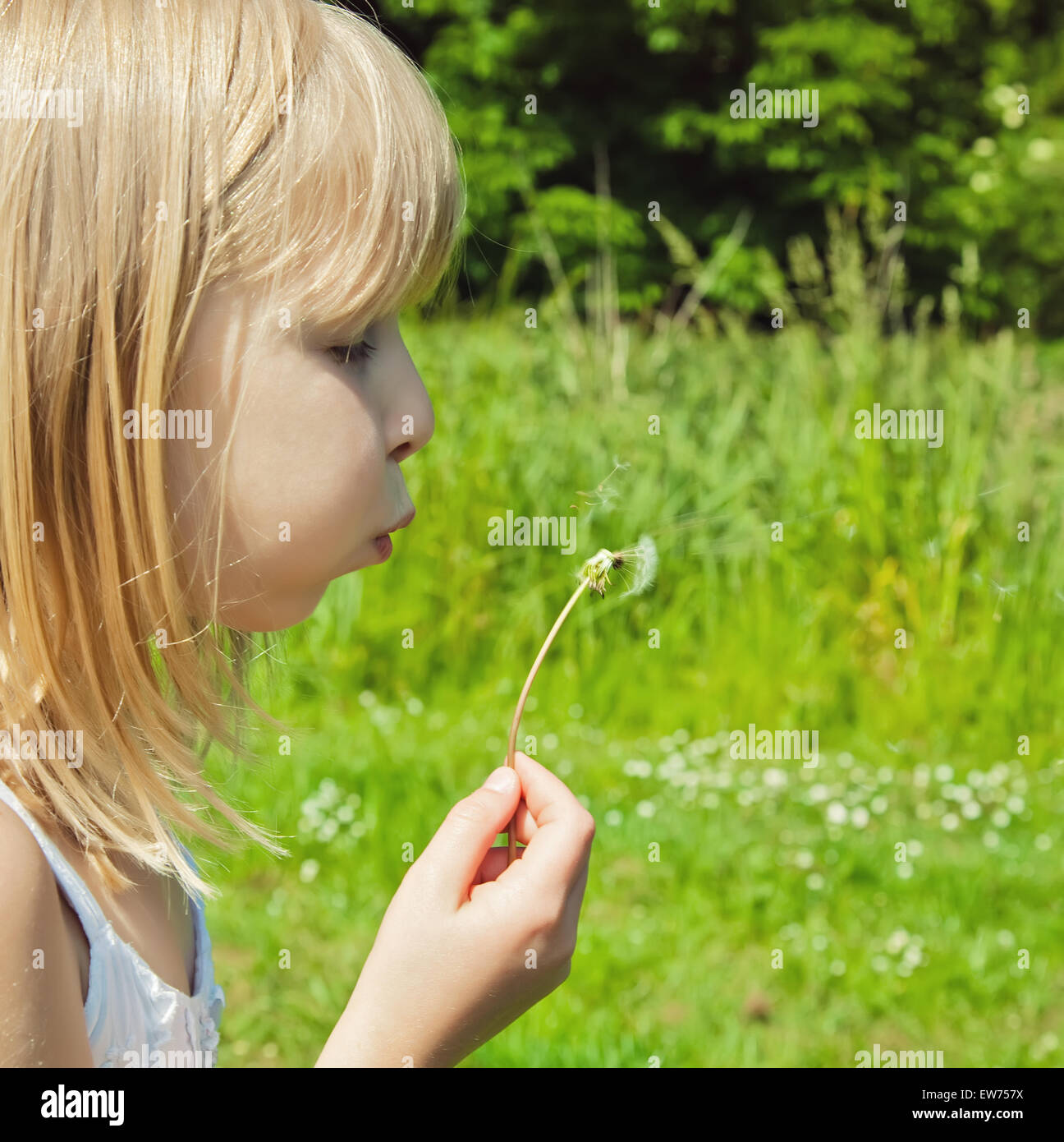 young girl blowing on a dandelion Stock Photo