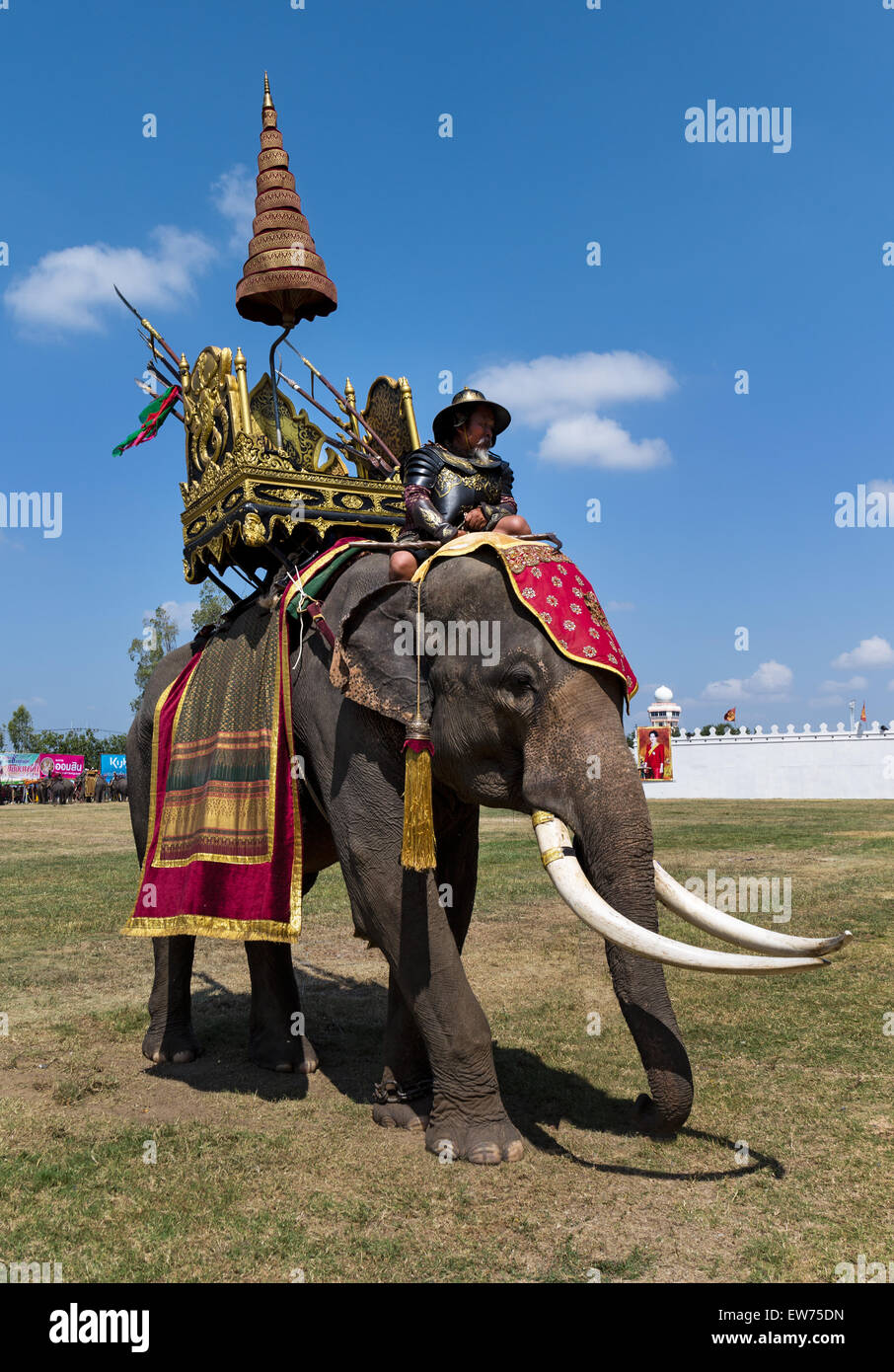 War elephant with soldier, historical costume, Elephant Festival, Elephant Round Up, Surin, Surin Province, Isan, Isaan,Thailand Stock Photo