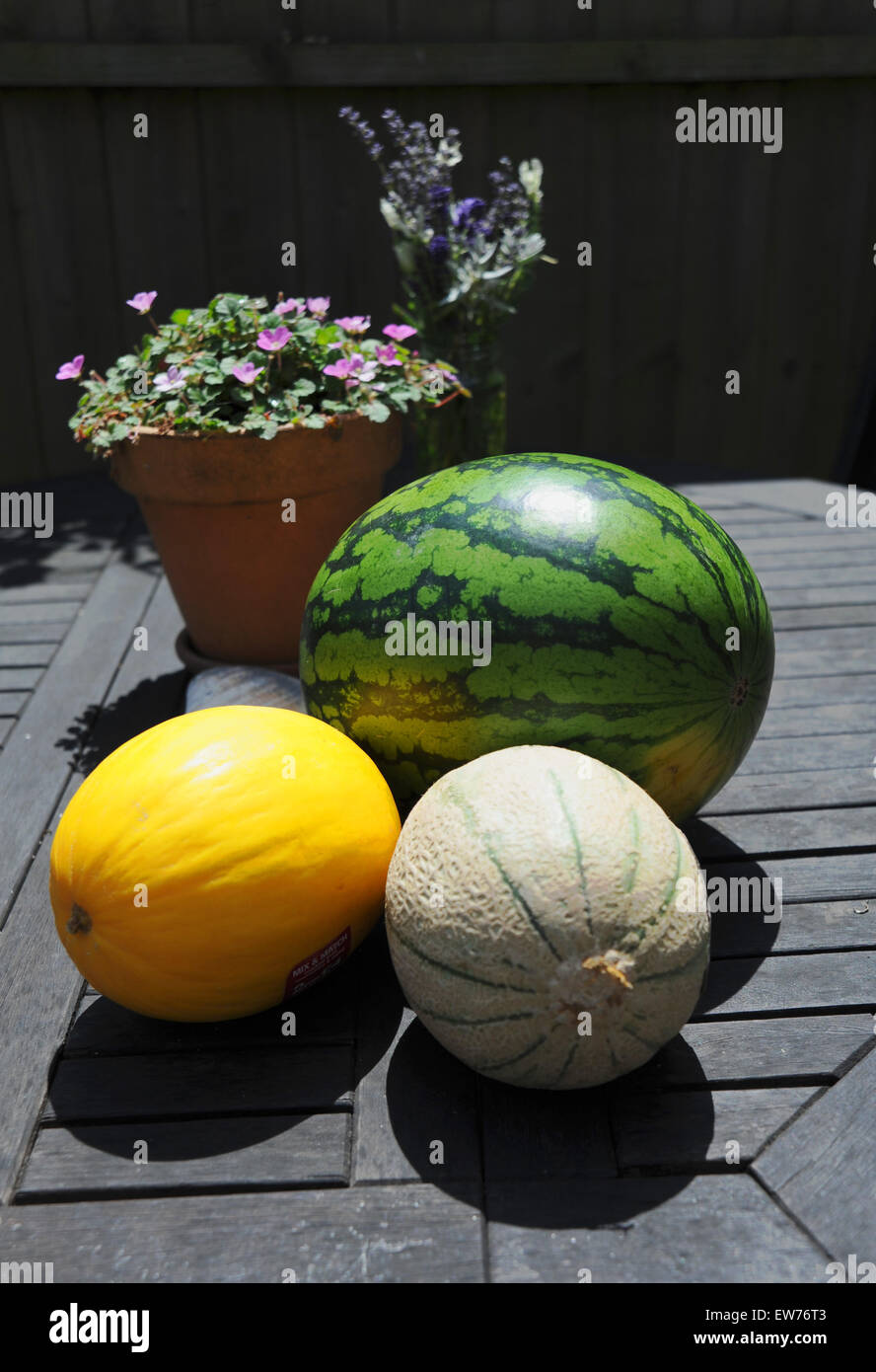 Three types of melon a yellow Honeydew Melon on left , a Cantaloupe