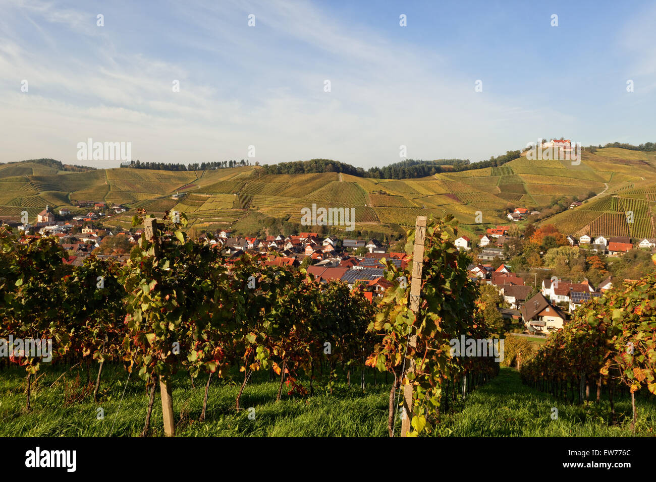 Durbach in autumn, Black Forest, Ortenau, Baden-Württemberg, Germany Stock Photo