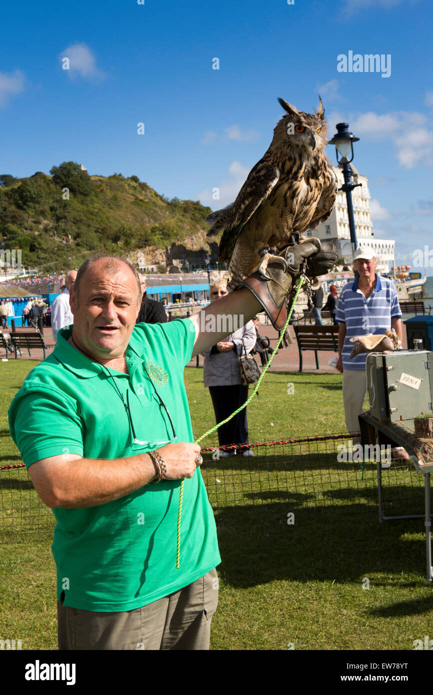 UK, Wales, Conwy, Llandudno, North Beach, Kevin Bunn of Lord of the Wings with European Eagle Owl Stock Photo