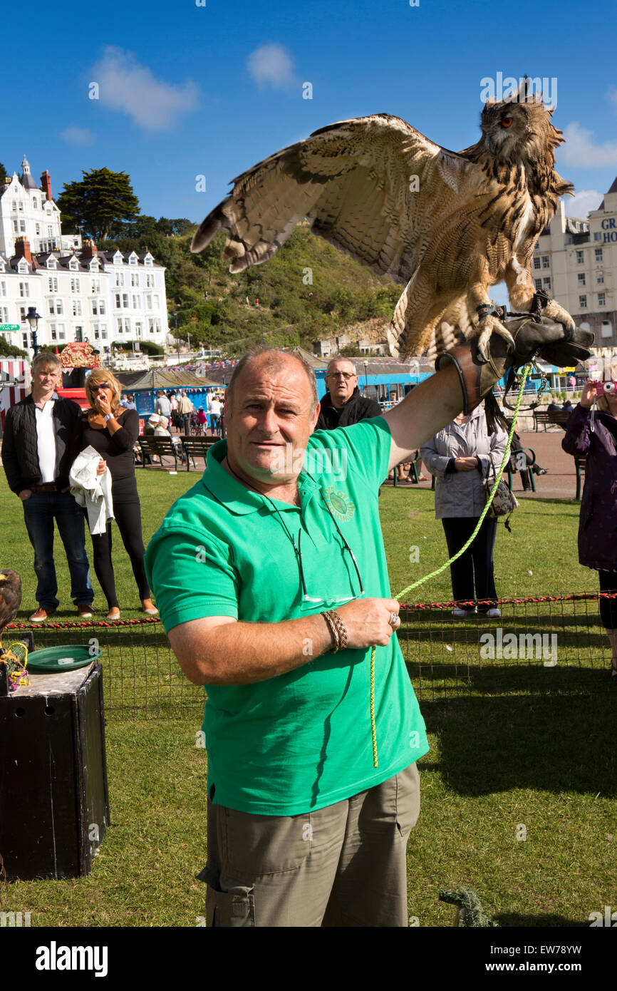 UK, Wales, Conwy, Llandudno, North Beach, Kevin Bunn of Lord of the Wings with European Eagle Owl Stock Photo