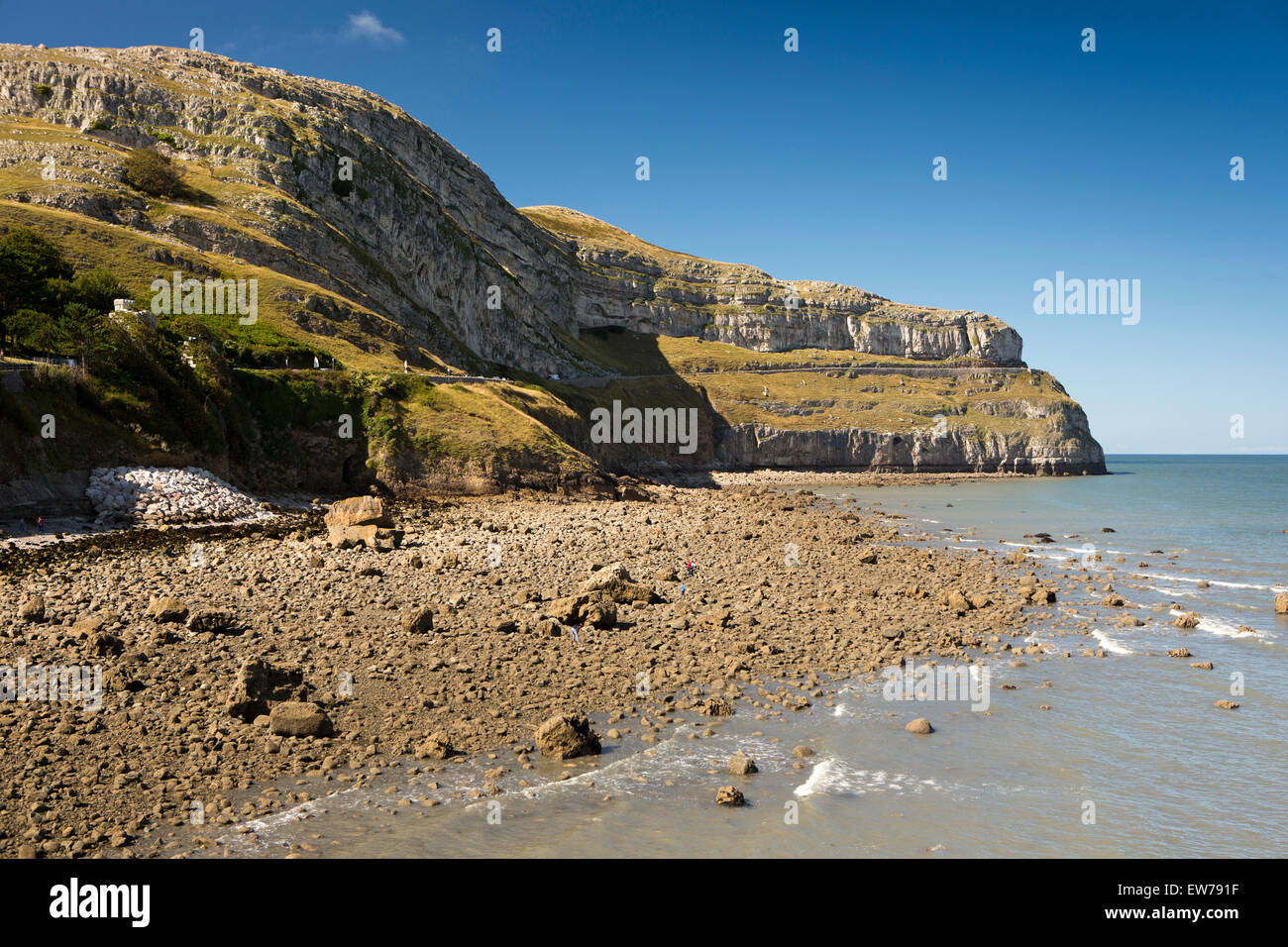 UK, Wales, Conwy, Llandudno, Great Orme, exposed rocky shore and coastal toll road Stock Photo