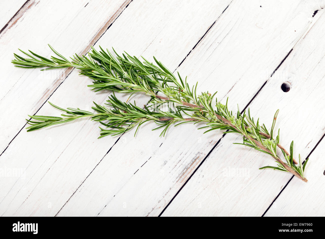 rosemary twig on white wooden rustic background Stock Photo