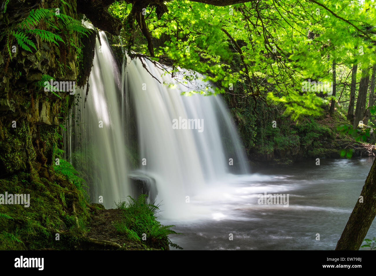 Sgwd Ddwli Uchaf (Upper Gushing Falls) waterfall near Pontneddfechan, South Wales. Stock Photo