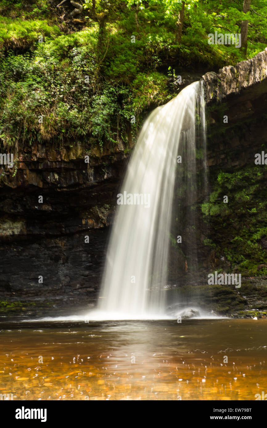 Sgwd Gwladus waterfall near Pontneddfechan, South Wales. Stock Photo