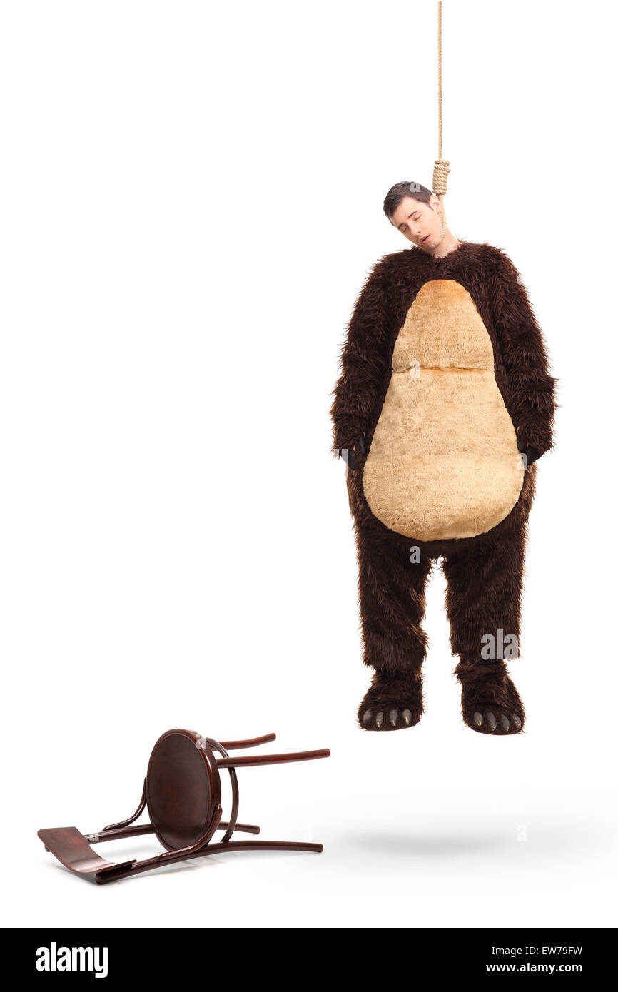 Full length portrait of a dead man in a bear costume hanging on a rope with fallen chair beside him isolated on white background Stock Photo