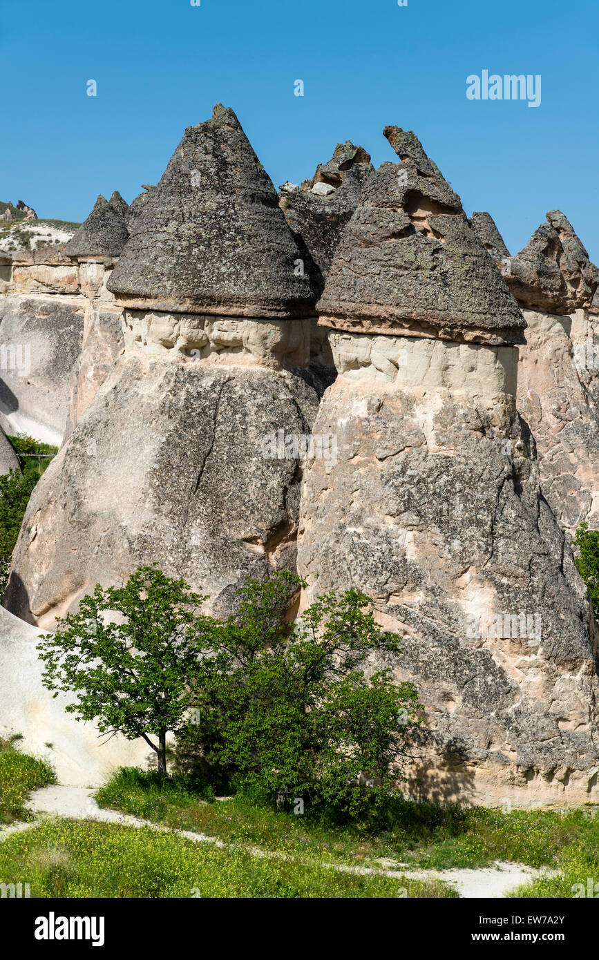 Typical fairy chimneys landscape in Pasabagi, Cappadocia, Turkey Stock Photo