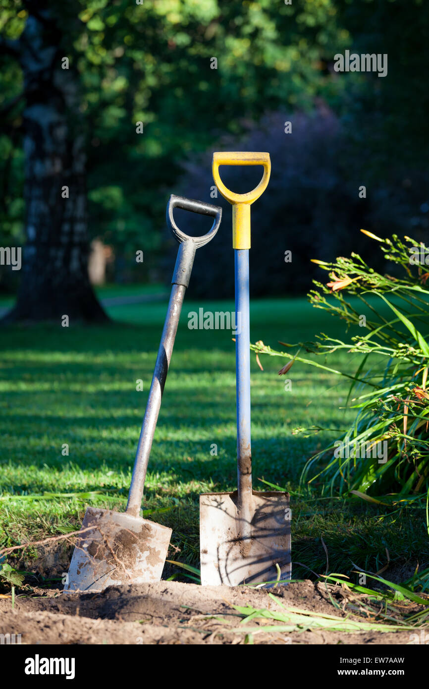 Two shovels in ground Stock Photo Alamy