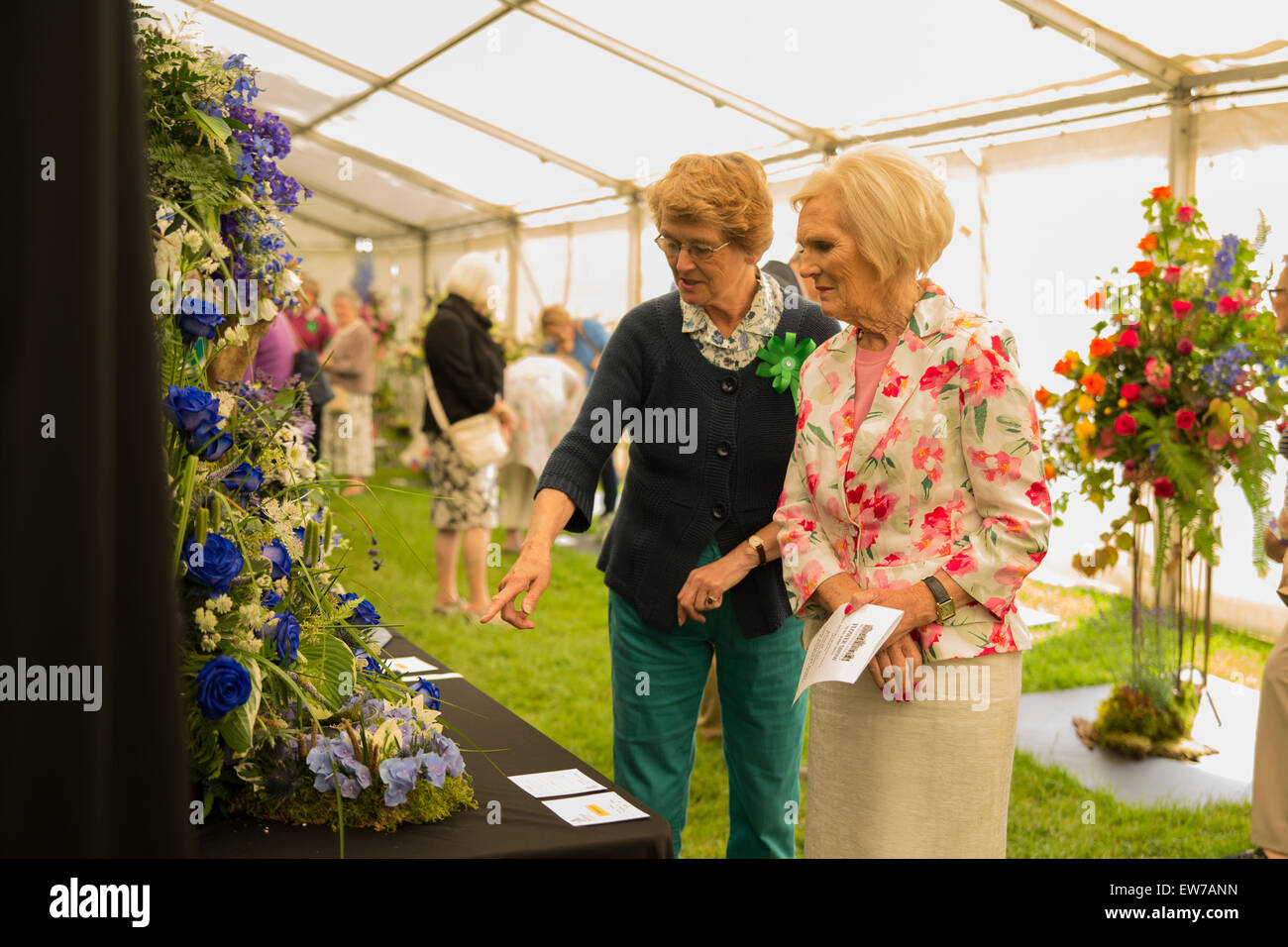 Oxford, UK. 19th June, 2015. Mary Berry Opens the Blenheim palace flower show Pete Lusabia/Alamy Live show Credit:  Pete Lusabia/Alamy Live News Stock Photo