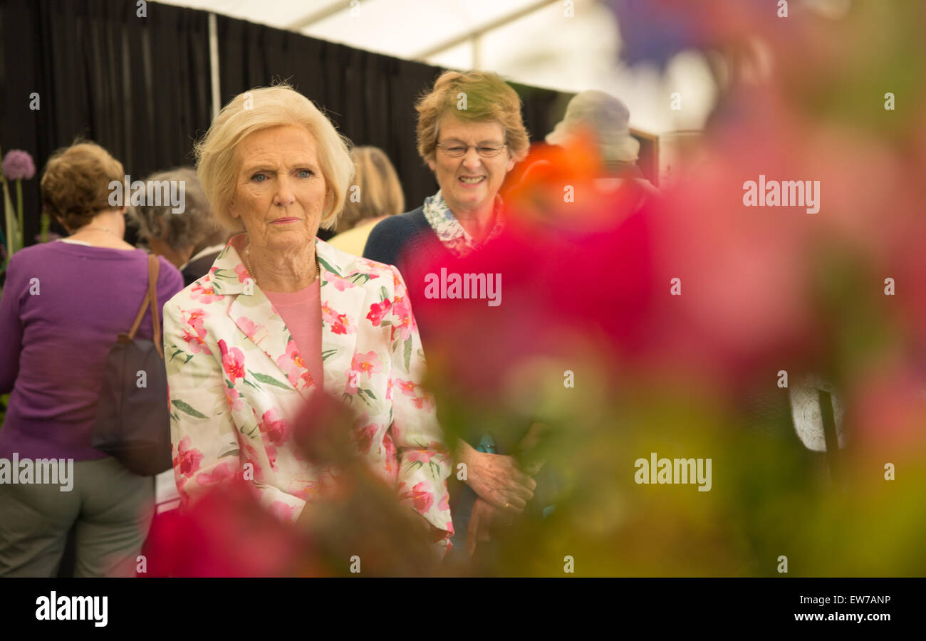 Oxford, UK. 19th June, 2015. Mary Berry Opens the Blenheim palace flower show Pete Lusabia/Alamy Live show Credit:  Pete Lusabia/Alamy Live News Stock Photo