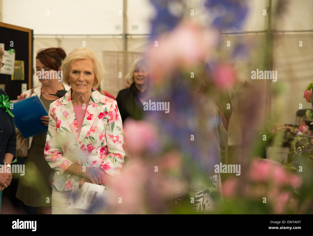 Oxford, UK. 19th June, 2015. Mary Berry Opens the Blenheim palace flower show Pete Lusabia/Alamy Live show Credit:  Pete Lusabia/Alamy Live News Stock Photo