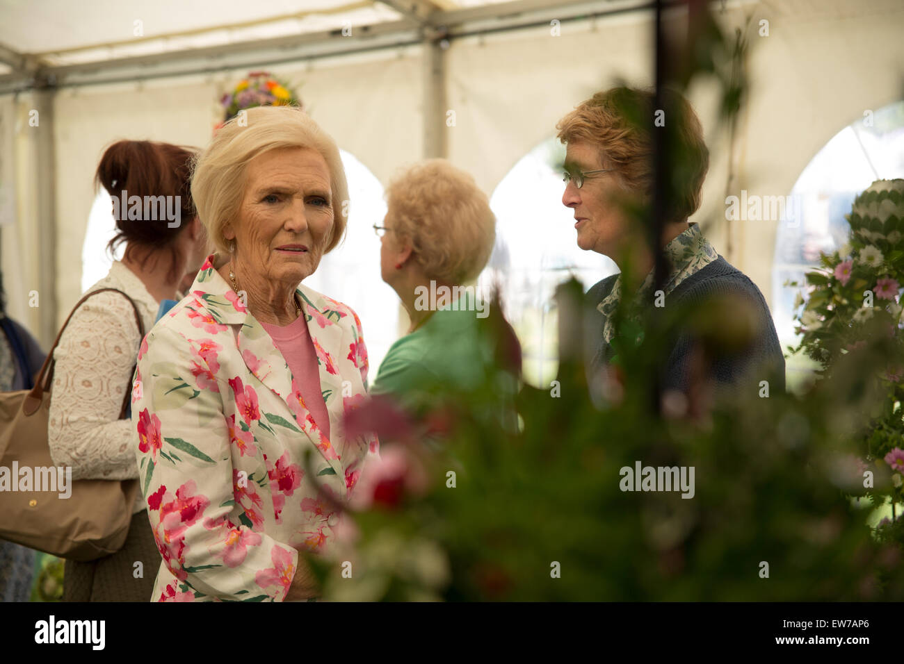 Oxford, UK. 19th June, 2015. Mary Berry Opens the Blenheim palace flower show Pete Lusabia/Alamy Live show Credit:  Pete Lusabia/Alamy Live News Stock Photo