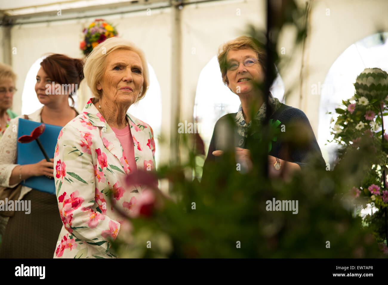 Oxford, UK. 19th June, 2015. Mary Berry Opens the Blenheim palace flower show Pete Lusabia/Alamy Live show Credit:  Pete Lusabia/Alamy Live News Stock Photo