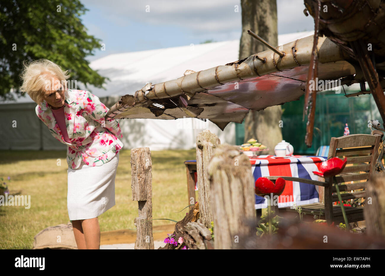 Oxford, UK. 19th June, 2015. Mary Berry Opens the Blenheim palace flower show Pete Lusabia/Alamy Live show Credit:  Pete Lusabia/Alamy Live News Stock Photo