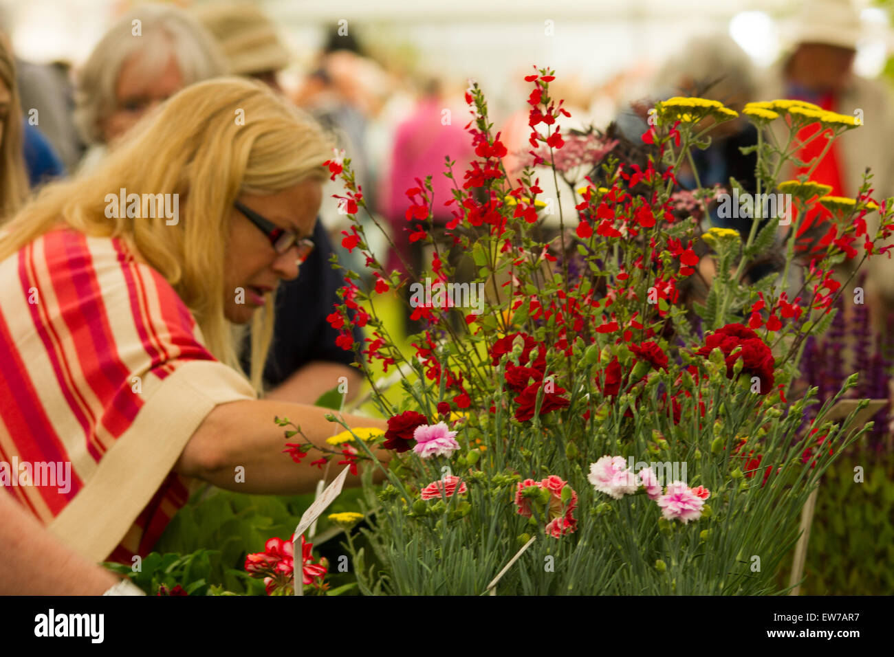 Oxford,Uk 19th June 2015 Mary Berry Opens the Blenheim palace flower show . Credit:  Pete Lusabia/Alamy Live News Stock Photo