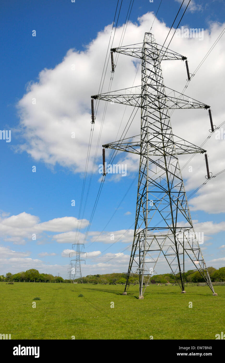 Norfolk, England, UK. Power lines and pylons across a field Stock Photo