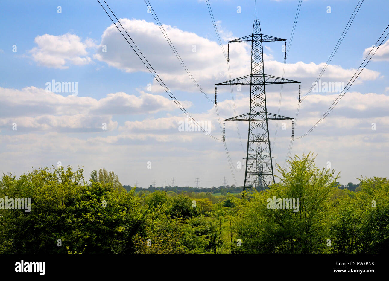 Norfolk, England, UK. Power lines and pylons across a field Stock Photo