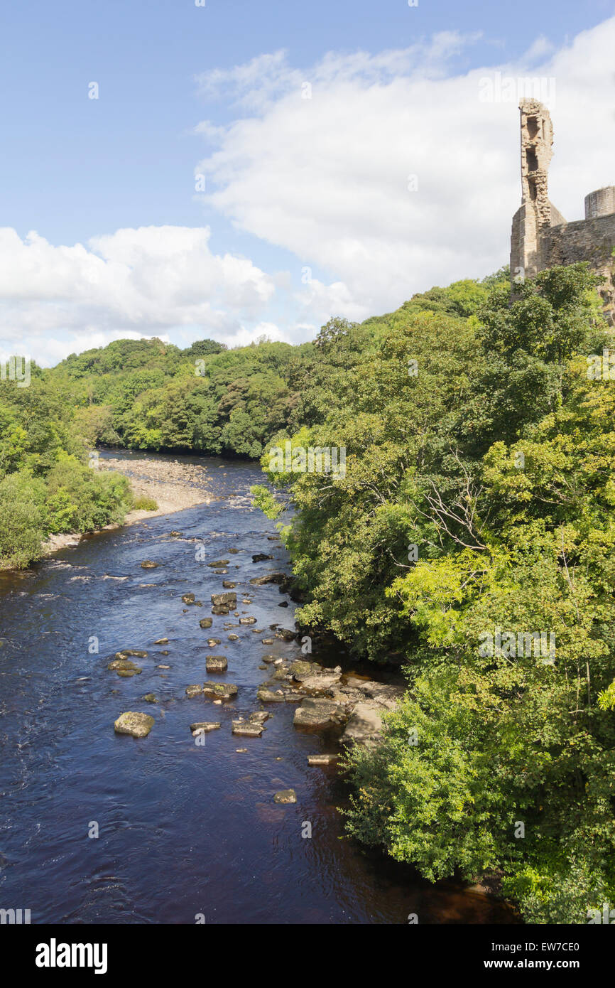The River Tees and adjacent tree foliage in full summer greenery flowing through the town of Barnard Castle, County Durham. Stock Photo