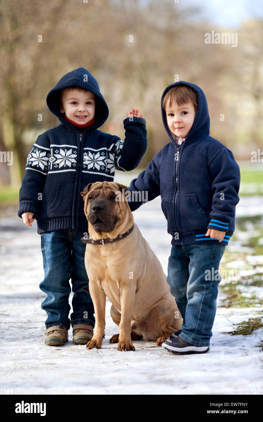 Two Little boys with their dog in the park Stock Photo