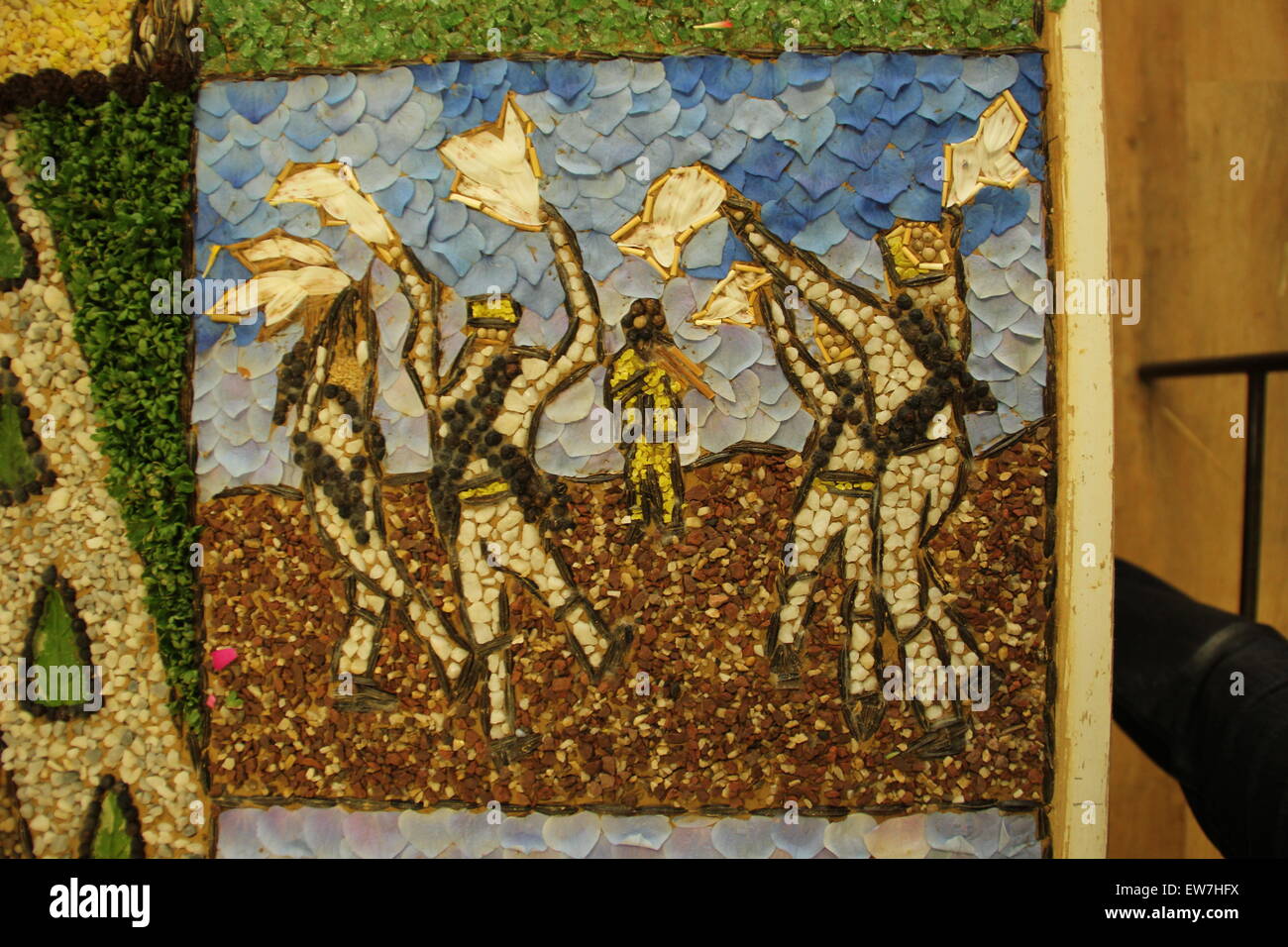 Peak District, Derbyshire, UK. 19 June 2015. Morris dancers are depicted in a well-dressing that will be put on public display at Litton village in the Peak District National Park tomorrow (20/06/2015) for one week. Composed of natural materials like curly parsley, flower petals and peppercorns, well-dressings are an ancient Derbyshire tradition thought to have originated as a way of giving thanks for water from natural springs. Credit:  Deborah Vernon/Alamy Live News Stock Photo