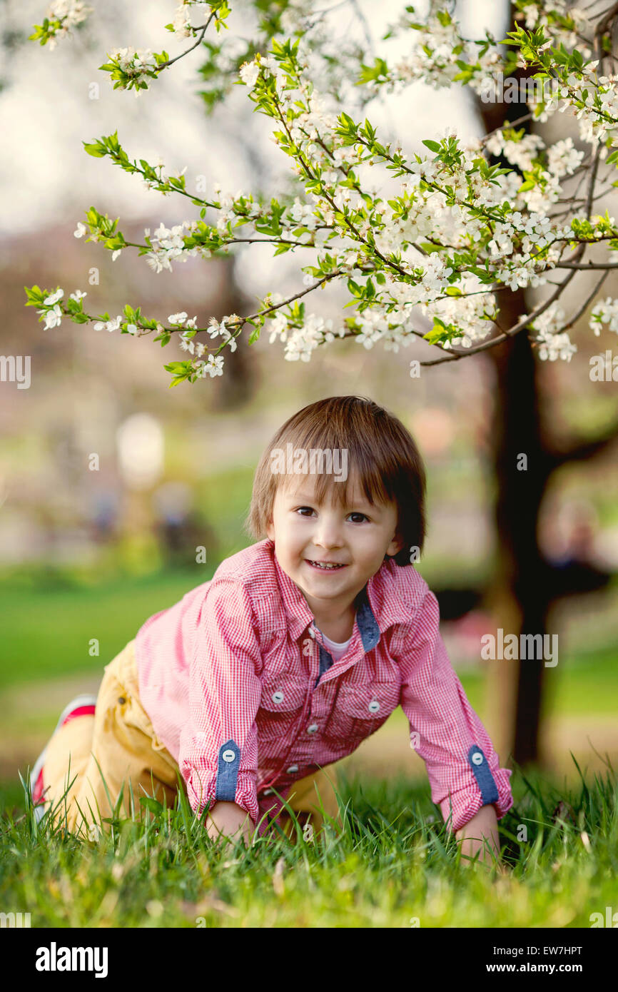 Children Outside Spring Adorable happy kid outdoors on spring day in beautiful blooming garden ...