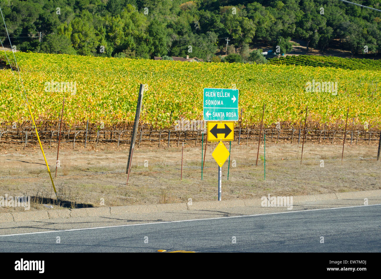Road sign in Napa County, California with directions to Glen Ellen, Sonoma, and Santa Rosa, grape vineyard in background Stock Photo