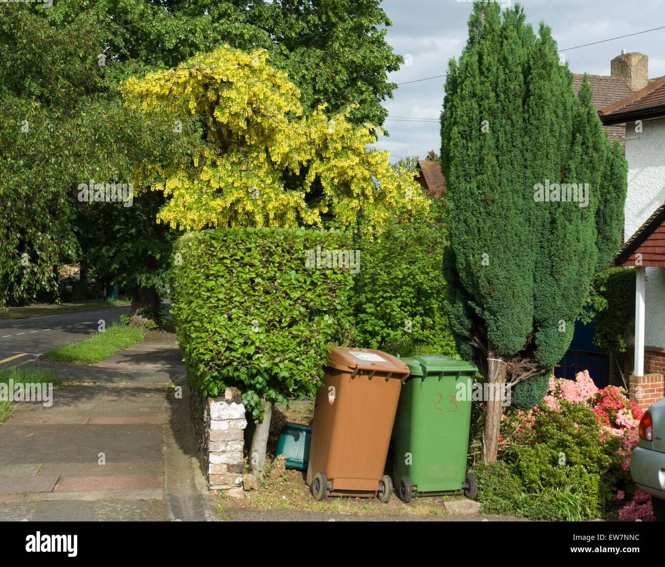 Domestic wheelie bins hi-res stock photography and images - Alamy