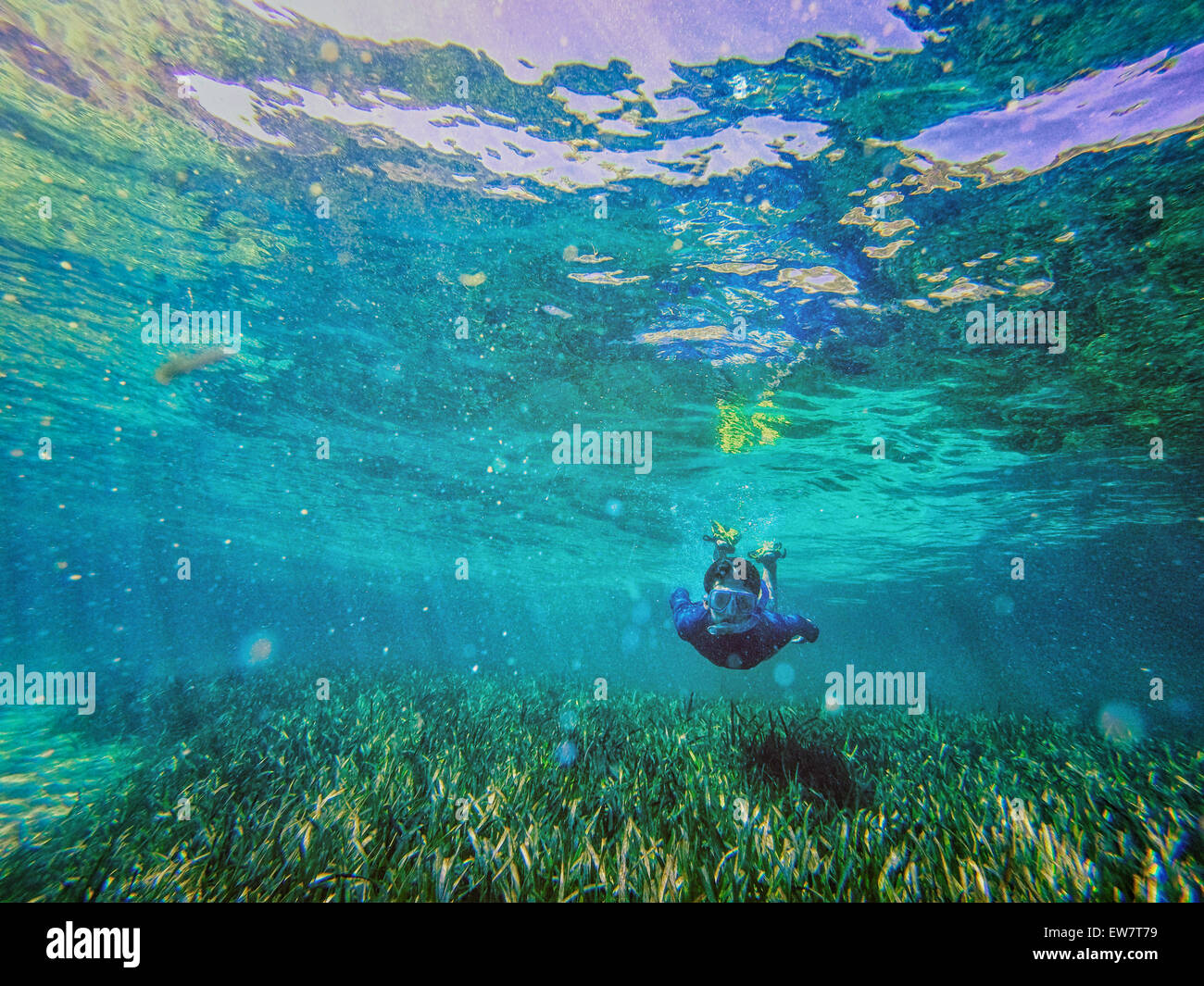 Teenage boy swimming with snorkel underwater, Rottnest, Australia Stock Photo