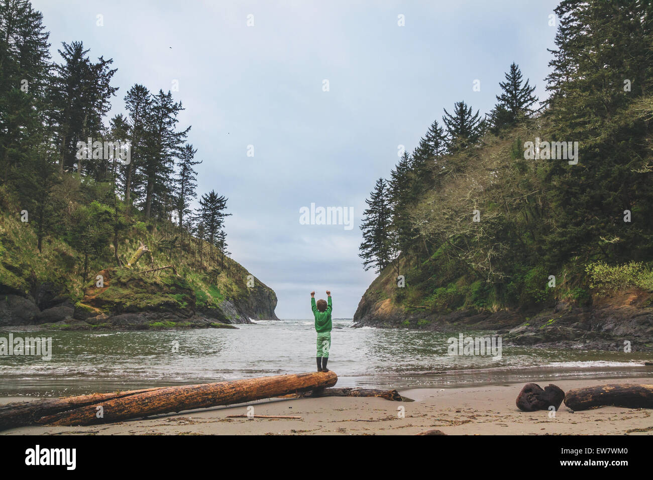 Boy standing on driftwood on the beach with arms raised Stock Photo
