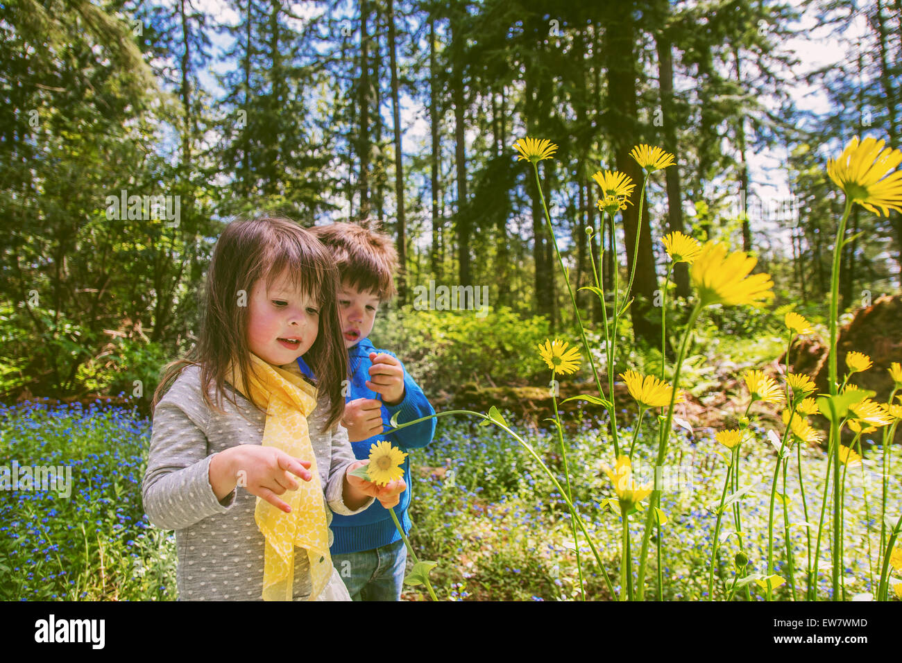 Boy and girl picking flowers in countryside Stock Photo Alamy