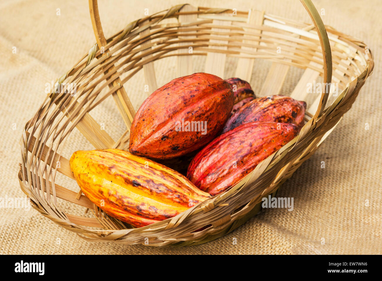 Basket with cacao (Theobroma cacao) on burlap Stock Photo
