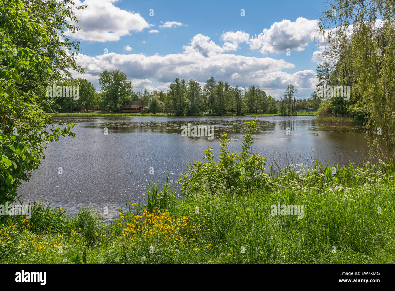A lake in the park, Bialowieza, Poland Stock Photo